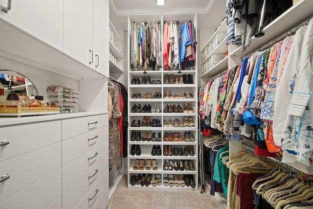 13305 Newcastle Creek Ct, Houston, TX 77059 - spacious closet featuring carpet
