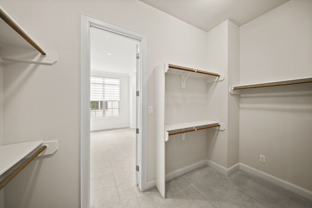 1034 W 26th St Unit D, Houston, TX 77008 - walk in closet featuring light carpet