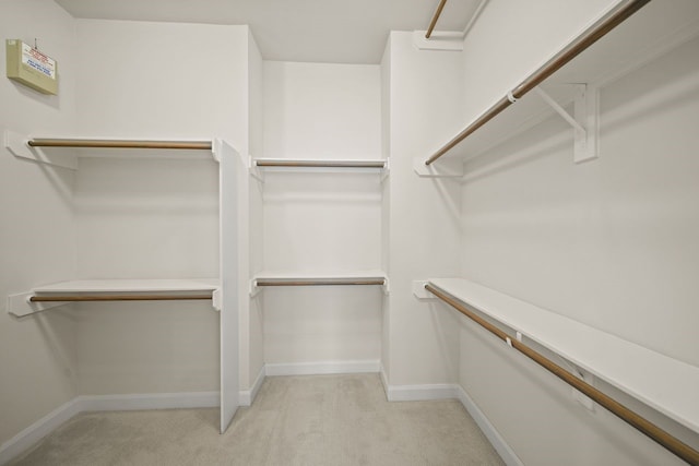 1034 W 26th St Unit D, Houston, TX 77008 - walk in closet with light colored carpet