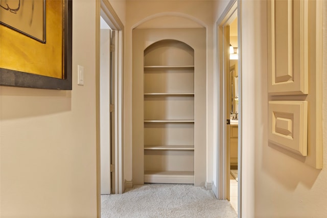 12902 Tamarack Bend Ln, Humble, TX 77346 - corridor with carpet flooring and built in shelves