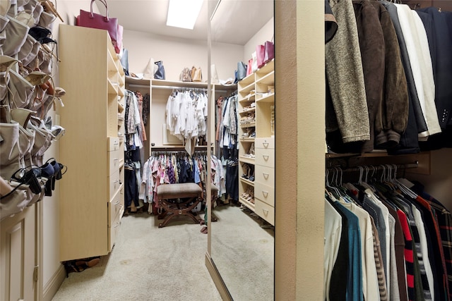 12902 Tamarack Bend Ln, Humble, TX 77346 - spacious closet with carpet