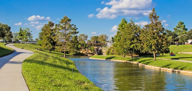 10215 Thornleaf Ln, Houston, TX 77070 - photo 30