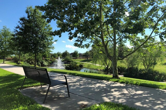 10215 Thornleaf Ln, Houston, TX 77070 - photo 29