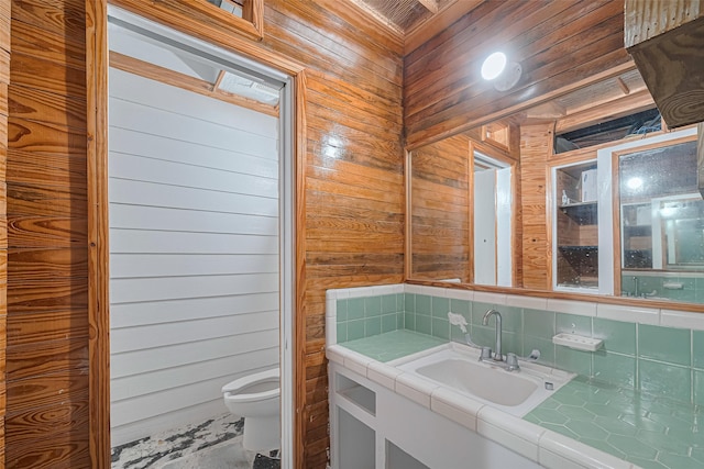 5 Briar Dale Ct, Houston, TX 77027 - bathroom with vanity, decorative backsplash, and wooden walls