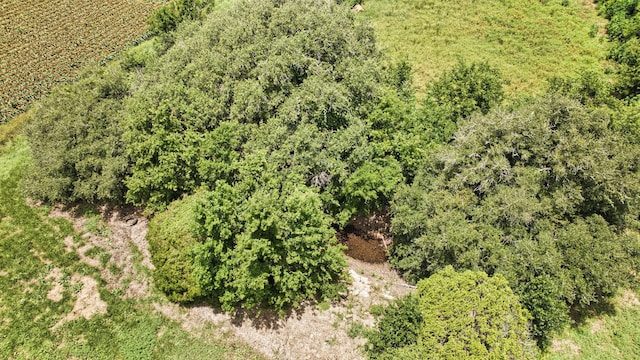 TBD Fm 1462 Road, Damon, TX 77430 - photo 10