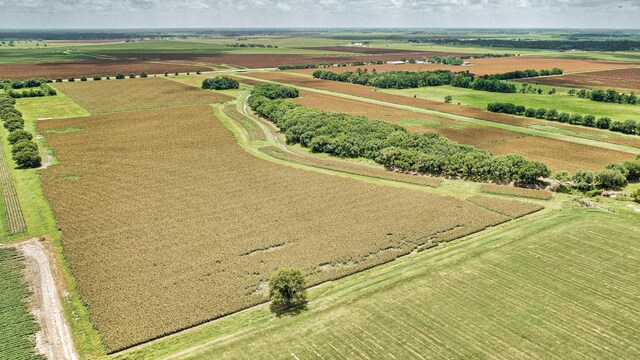 TBD Fm 1462 Road, Damon, TX 77430 - photo 12