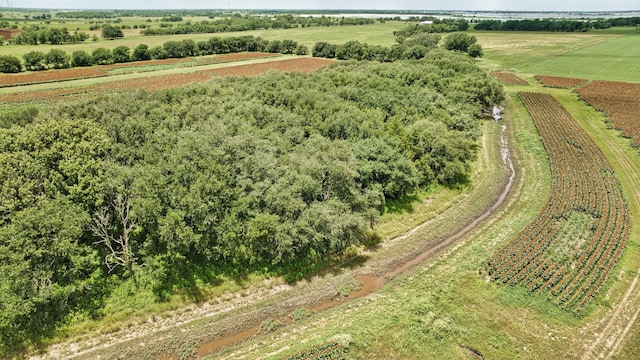 TBD Fm 1462 Road, Damon, TX 77430 - photo 15