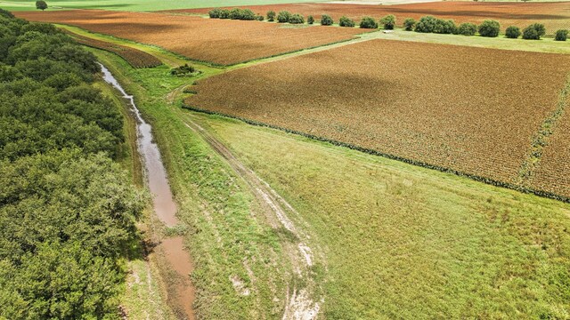TBD Fm 1462 Road, Damon, TX 77430 - photo 16