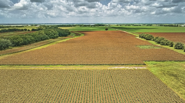 TBD Fm 1462 Road, Damon, TX 77430 - photo 21