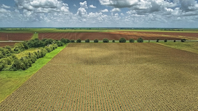 TBD Fm 1462 Road, Damon, TX 77430 - photo 13