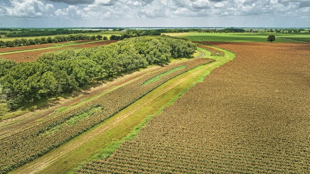 TBD Fm 1462 Road, Damon, TX 77430 - photo 17