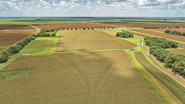 TBD Fm 1462 Road, Damon, TX 77430 - photo 18
