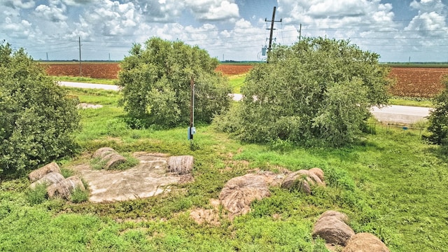TBD Fm 1462 Road, Damon, TX 77430 - photo 8