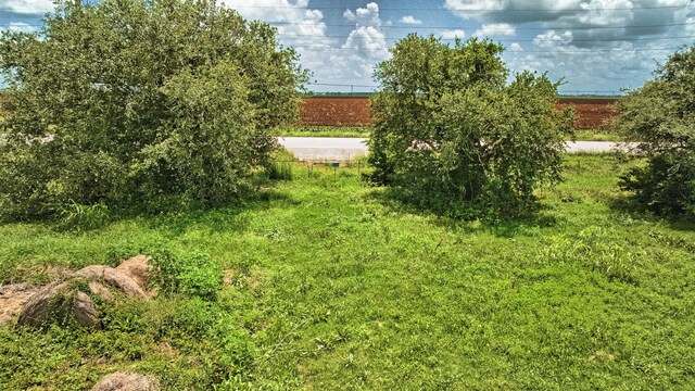 TBD Fm 1462 Road, Damon, TX 77430 - photo 9