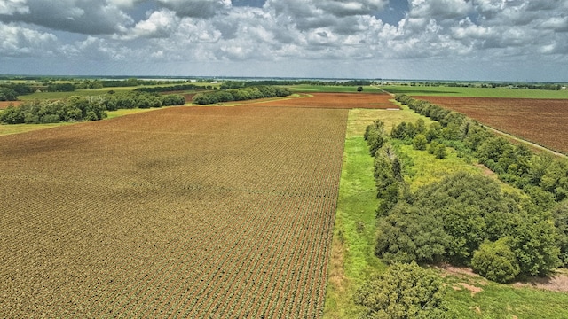 TBD Fm 1462 Road, Damon, TX 77430 - photo 11