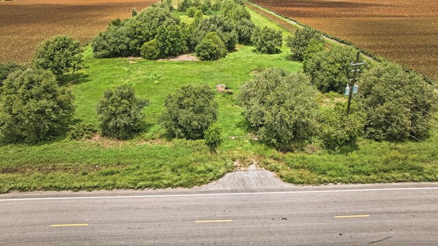 TBD Fm 1462 Road, Damon, TX 77430 - photo 5