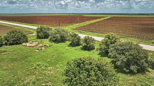 TBD Fm 1462 Road, Damon, TX 77430 - photo 7