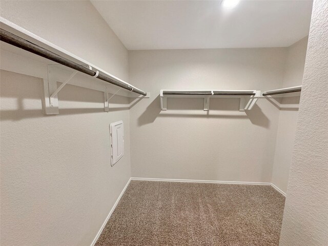 14127 Carly Pines Ct, Conroe, TX 77302 - spacious closet with carpet floors