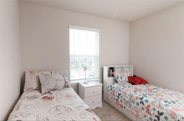 11215 Pavonia Creek Ct, Richmond, TX 77406 - bedroom featuring multiple windows and light carpet