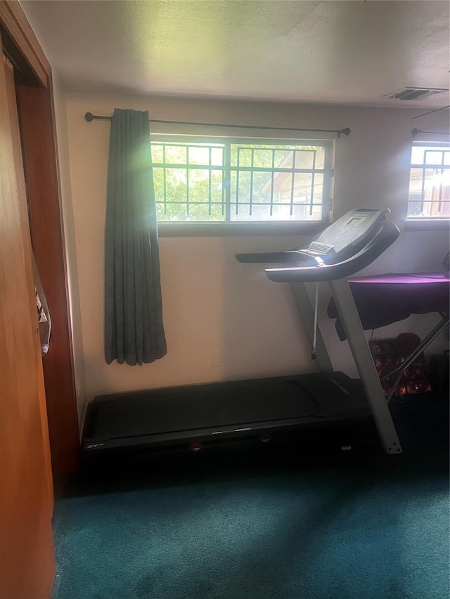1517 E 32nd 1/2 St E, Houston, TX 77022 - exercise room featuring carpet floors