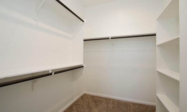 239 Biltmore Loop, Montgomery, TX 77316 - walk in closet featuring carpet floors