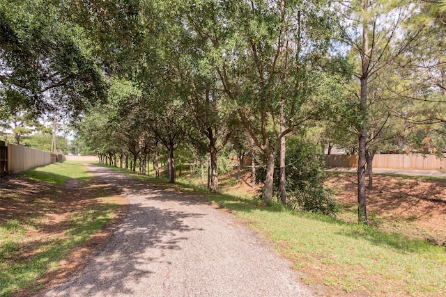 4731 Cavern Dr, Friendswood, TX 77546 - photo 46