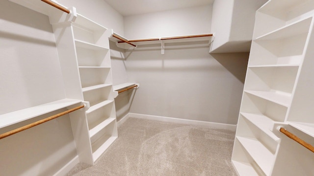 58 Lantana Ct, Lake Jackson, TX 77566 - walk in closet with carpet flooring