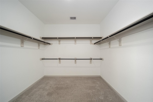 29423 Red Rocks Park Dr, Katy, TX 77494 - walk in closet with light carpet