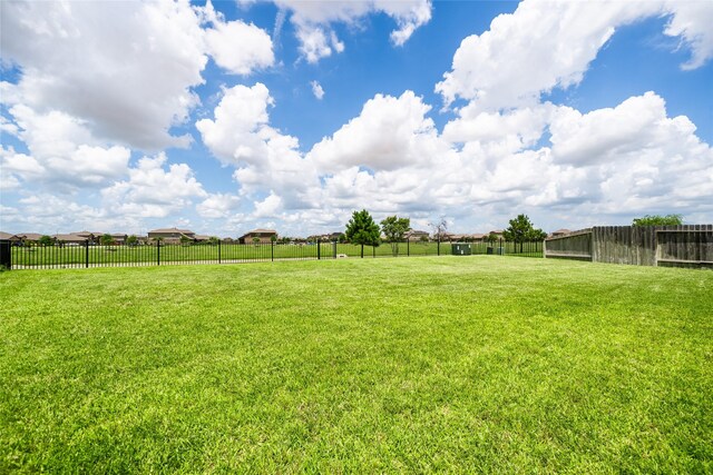 29423 Red Rocks Park Dr, Katy, TX 77494 - view of yard