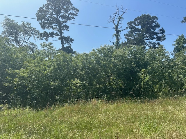 LOT10 Fm 980 S, Point Blank, TX 77364
