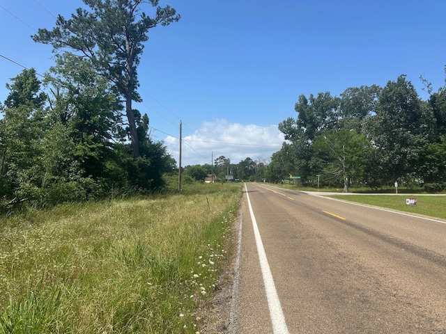 LOT10 Fm 980 S, Point Blank, TX 77364