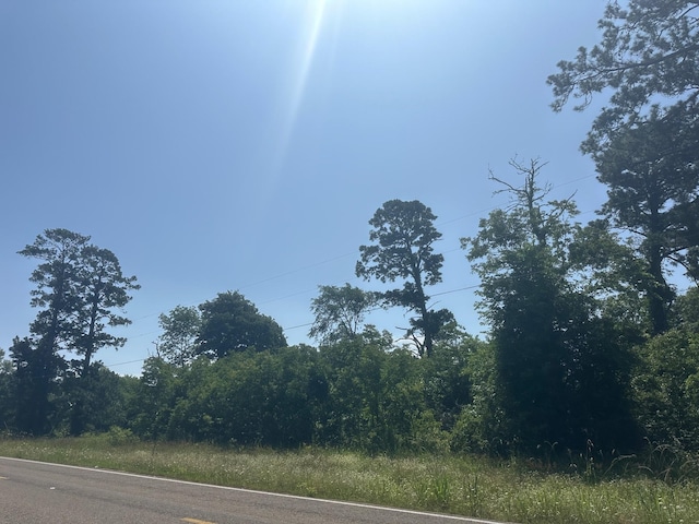 LOT10 Fm 980 S, Point Blank, TX 77364
