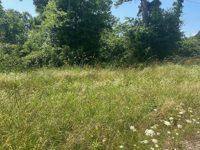 LOT10 Fm 980 S, Point Blank, TX 77364