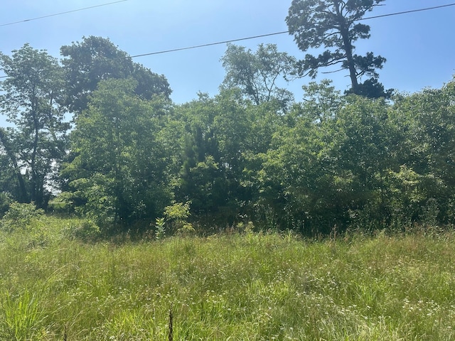 LOT10 Fm 980 S, Point Blank, TX 77364