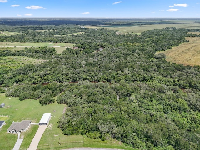 11 River Hollow Way, Blessing, TX 77419