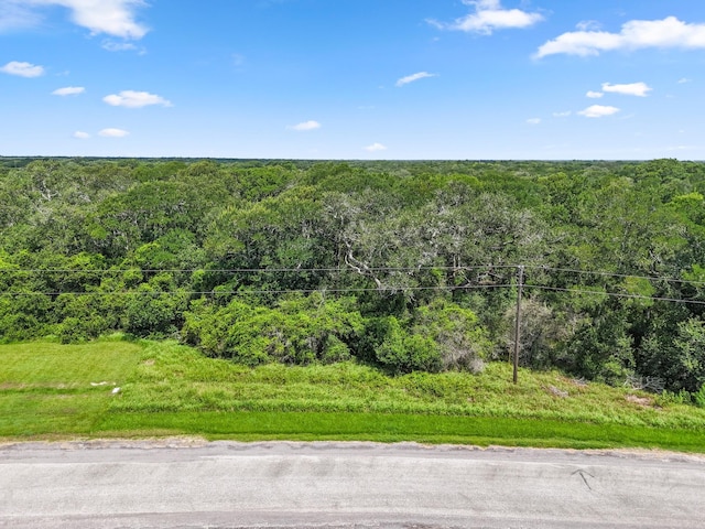 11 River Hollow Way, Blessing, TX 77419