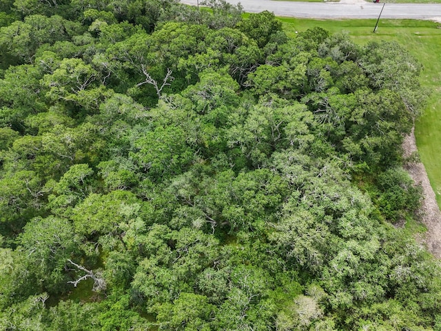 11 River Hollow Way, Blessing, TX 77419