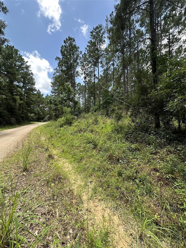 TBD Dickens Loop, Livingston, TX 77351