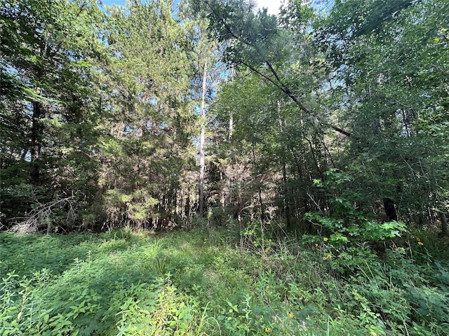 TBD Dickens Loop, Livingston, TX 77351