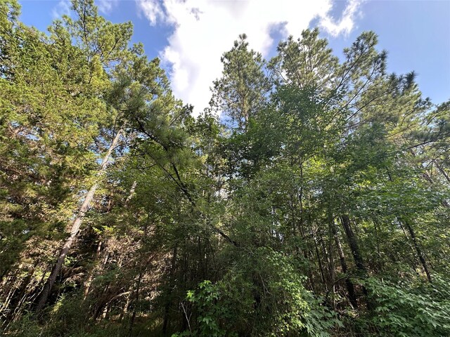 TBD Dickens Loop, Livingston, TX 77351