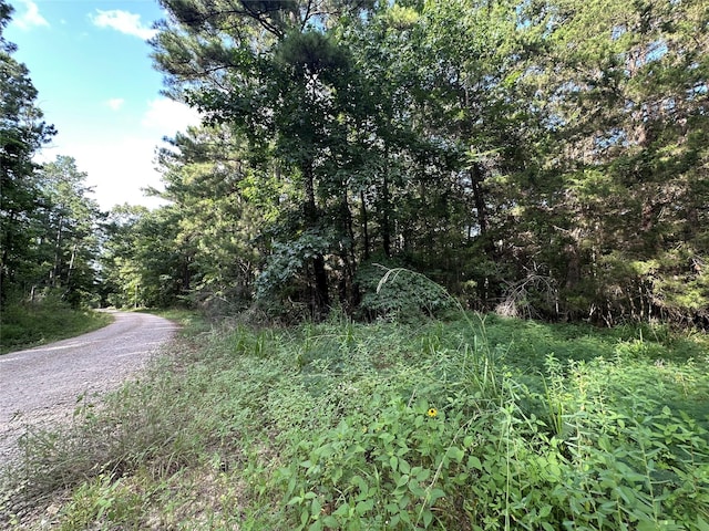 TBD Dickens Loop, Livingston, TX 77351