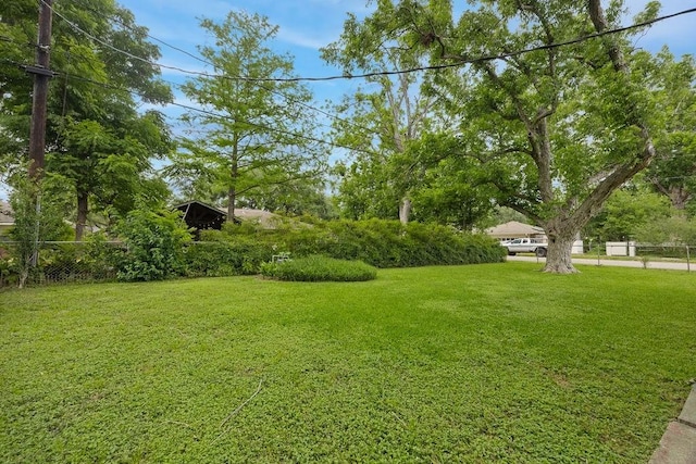 4502 Lido Ln, Houston, TX 77092 - view of yard