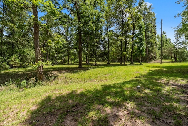 2540 Howell Rd, Corrigan, TX 75939 - view of grassy yard