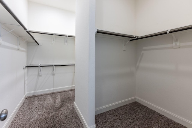 10318 Easterly Ln, Cypress, TX 77433 - walk in closet with dark colored carpet