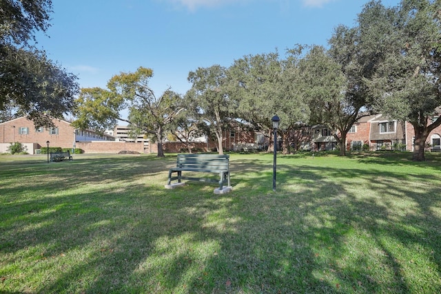 6355 Del Monte Dr Unit 64, Houston, TX 77057 - view of property's community featuring a yard