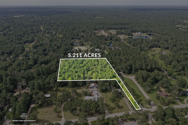 5.2AC Coe Loop, Magnolia, TX 77355