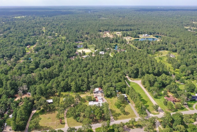 5.2AC Coe Loop, Magnolia, TX 77355