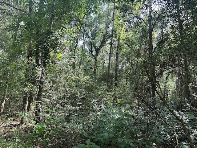 5.2AC Coe Loop, Magnolia, TX 77355
