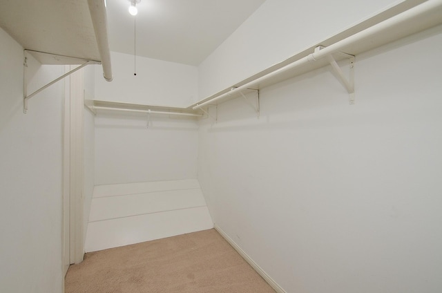 14707 Barryknoll Ln Unit 168, Houston, TX 77079 - spacious closet with light colored carpet