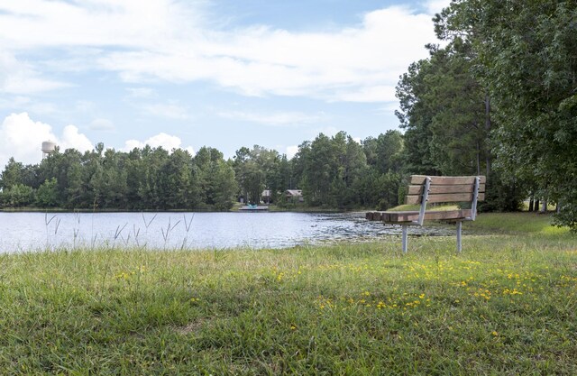 7070 Racehorse Dr, Waller, TX 77484 - photo 47